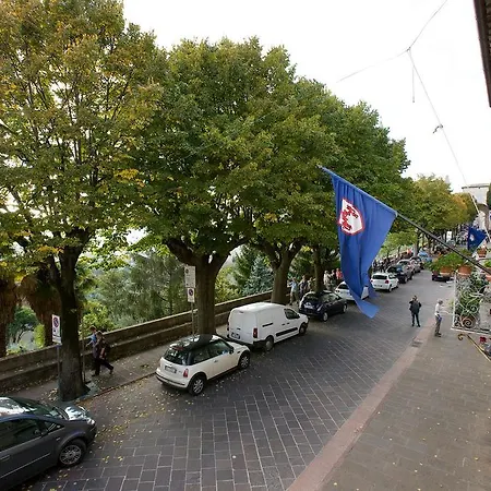 Aretino Assisi