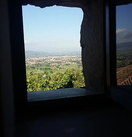 Aretino Assisi